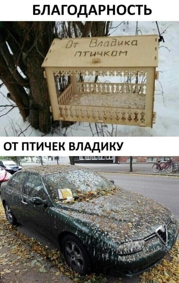 Так себе картинки 05.03.21