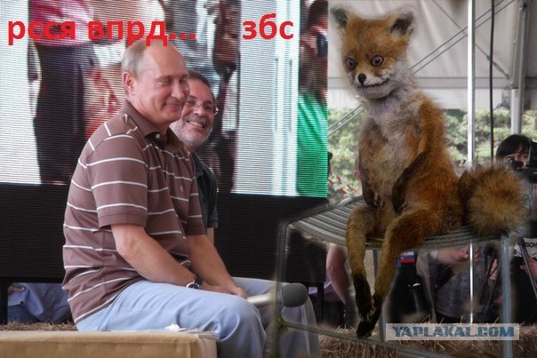 Интеграция приезжих в общество