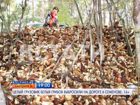Картинки и мемы для настроения