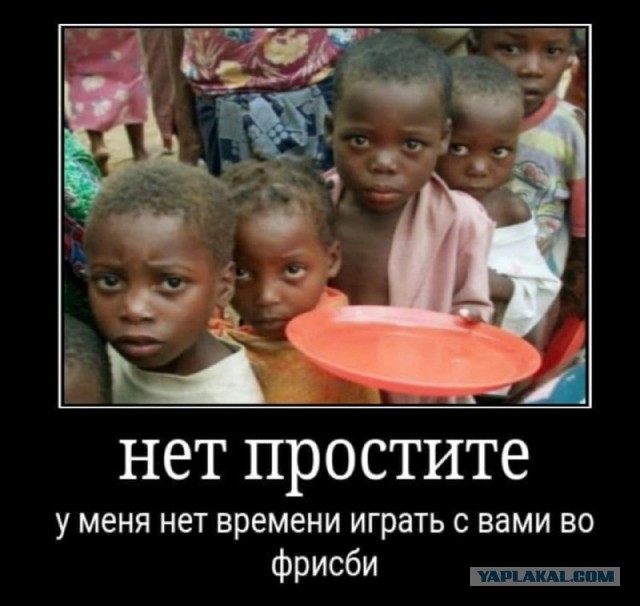 Очередной выпуск в мире животных