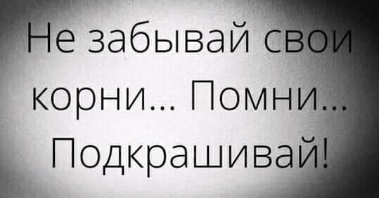 Так себе картинки 11.09.21