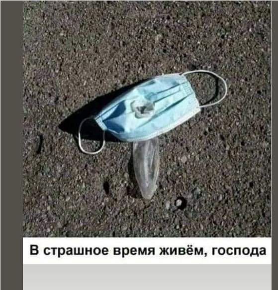 Там где вы учились, мы преподавали