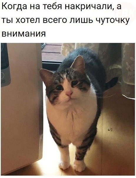 Баяны бабыЯны