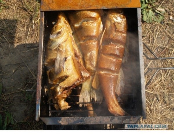 Открытая вода