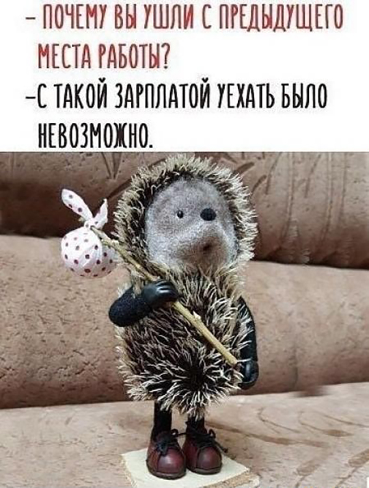 Картинки и мемы для настроения. Выходные близко...