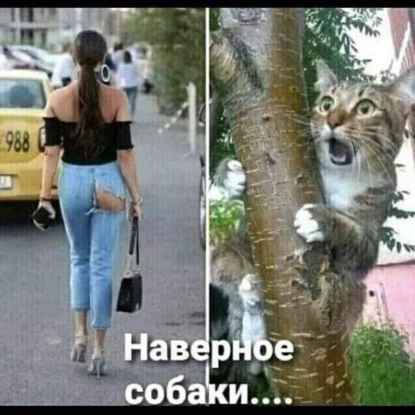 Пятница. Вечер. Картинки всякие #13