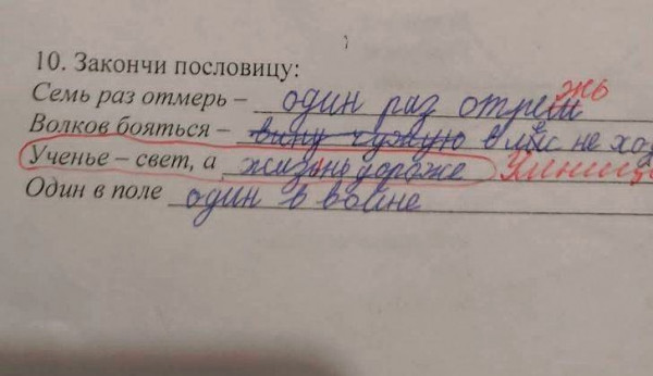 Чуток картинок 04.08.22