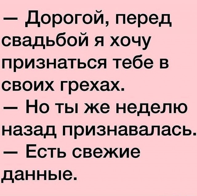 Весёлый полтишок 08.08.22