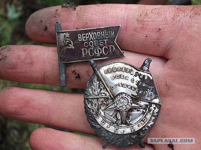 Пандемия съехавших крыш - разновидности болезни. Россия и мир. Часть 43.