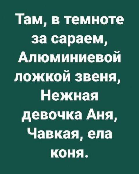 Весёлый полтишок 11.01.23