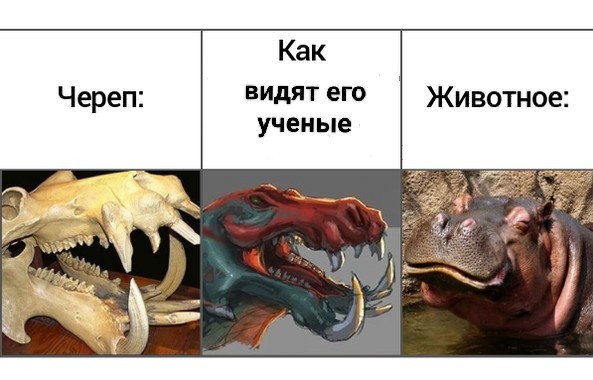 10 животных, которые вымерли — к счастью для человека