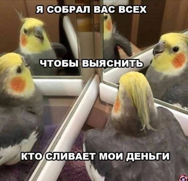 Картинки с надписями (баяны)