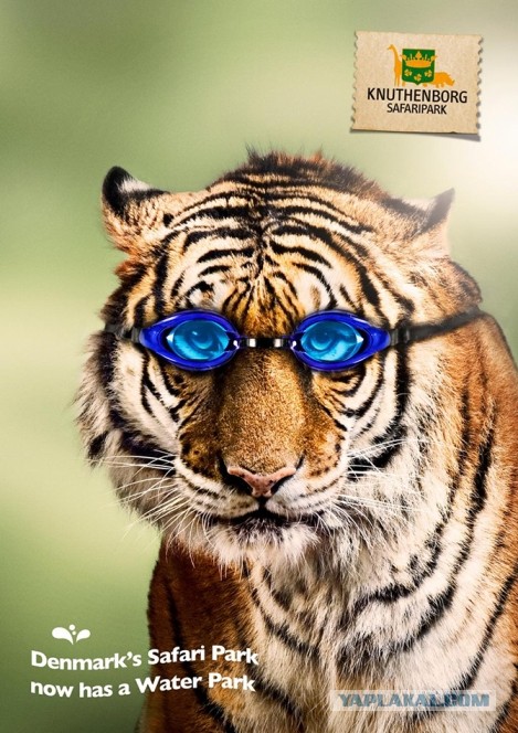 Оставьте свои заботы позади