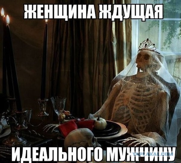 Базовые навыки самки
