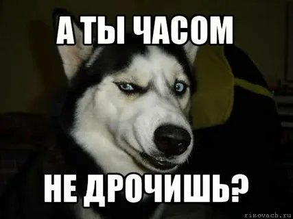 Че вы сейчас делали, если бы были школьником?
