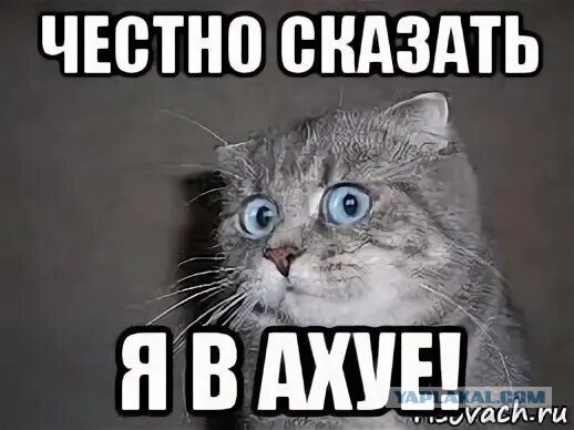 Хирургичка и мед. юмор
