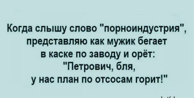 Весёлый полтишок 08.09.23