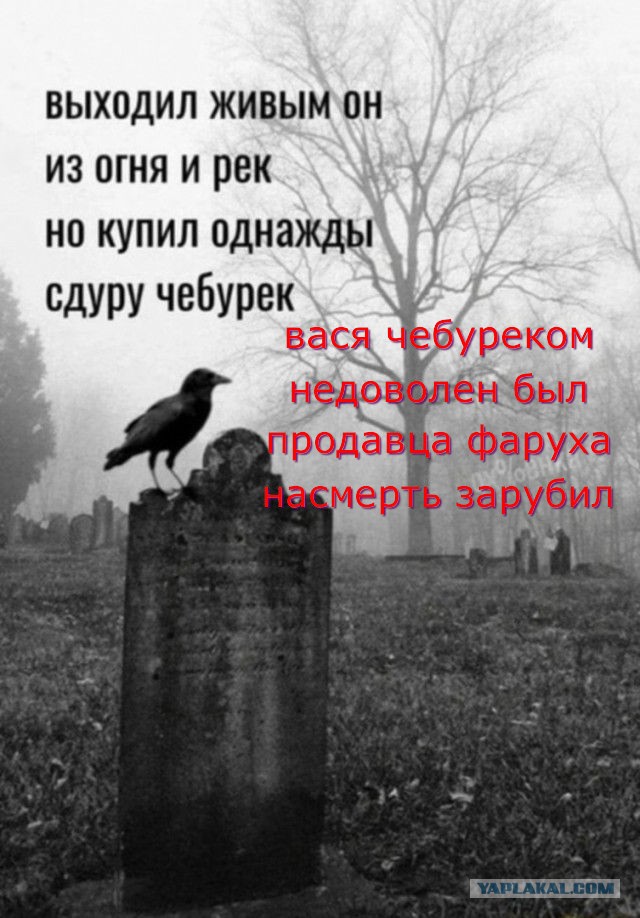 Чуток картинок 10.02.24