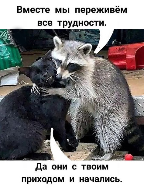 Так себе картинки 02.11.24