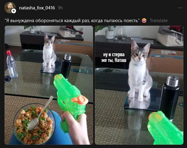 Завалялось тут случайно немного забавных картинок