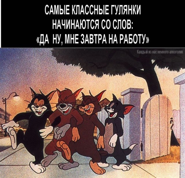 К котовторнику: подборка картинок-баянов с котиками и про котиков. Выпуск 12
