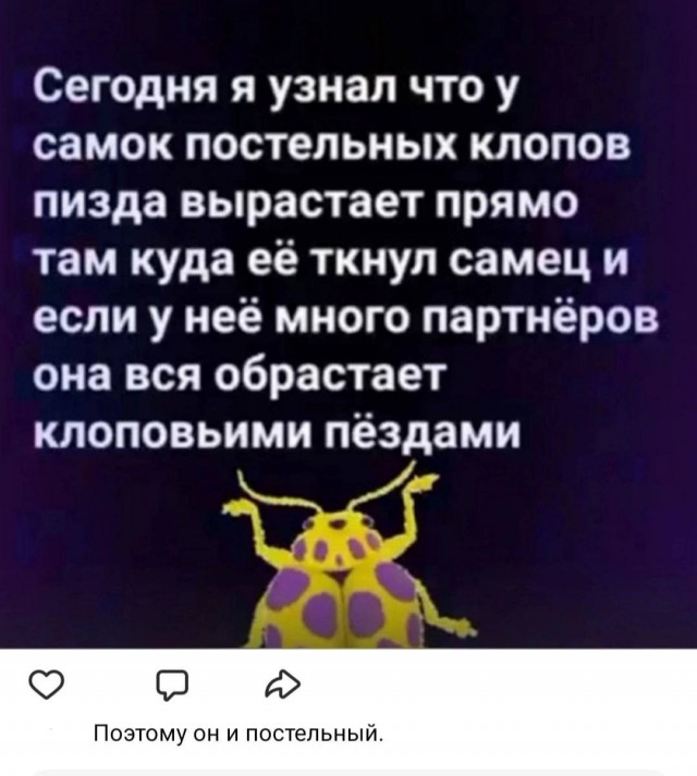 Немного забавных картинок из Архива, есть баяны.