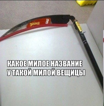 20459130.jpg