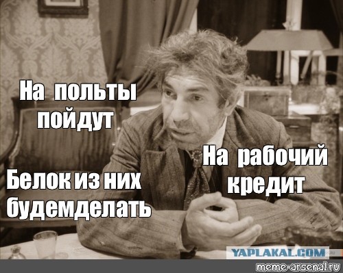 Массовый отстрел енотов начнётся в Краснодарском крае