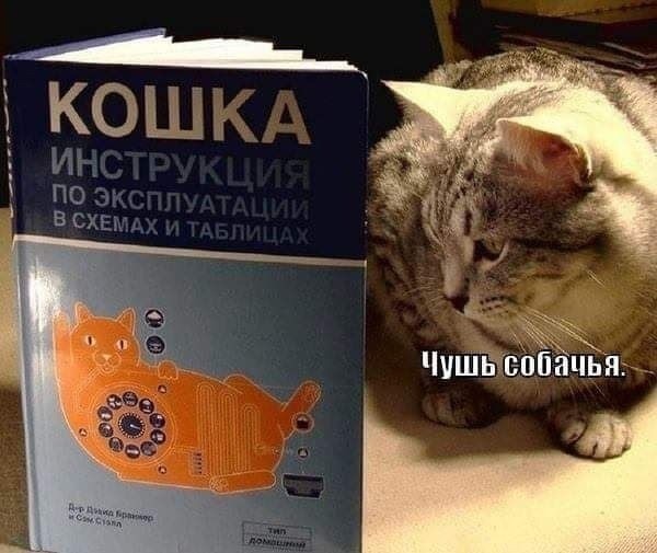 Четверговые картинки