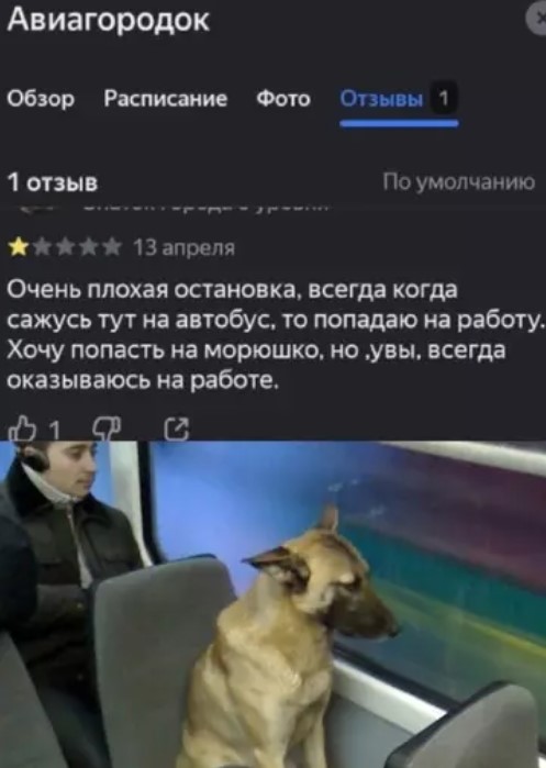Картиночки, баянчики 26 марта
