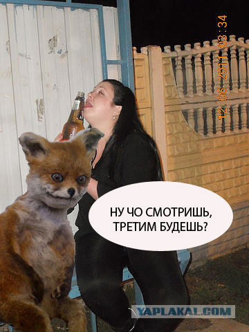 Поразвлекаемся, господа? :)