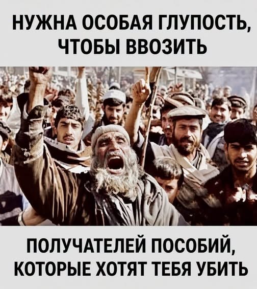 Картинки для деградации 309 (разной степени свежести)