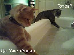 Заходя в ванную комнату, что бы вы хотели увидеть?