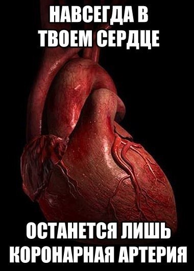 Раскаяние последней сволочи