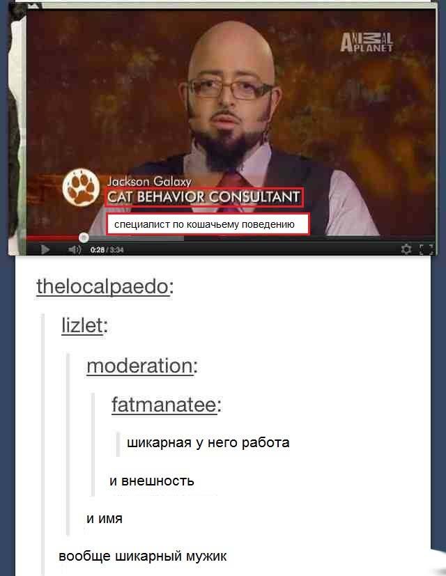 Смешные комментарии из социальных сетей #2