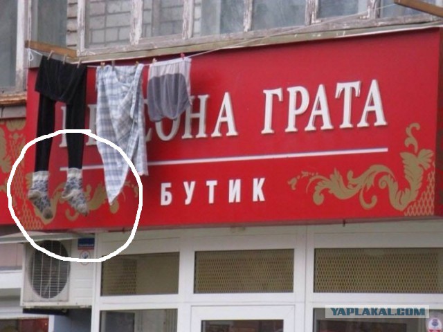 Маразмы месяца