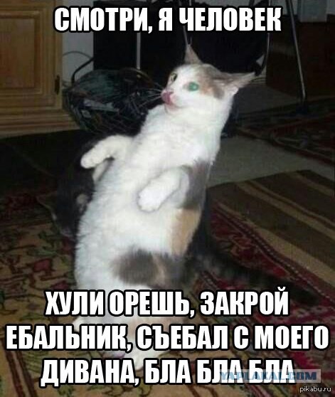 Позитивные картинки и комментарии.
