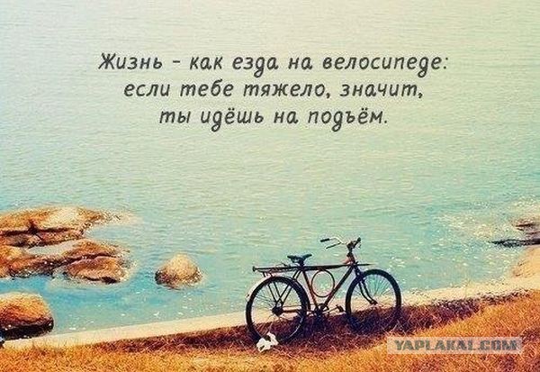 Позитивные картинки и комментарии.