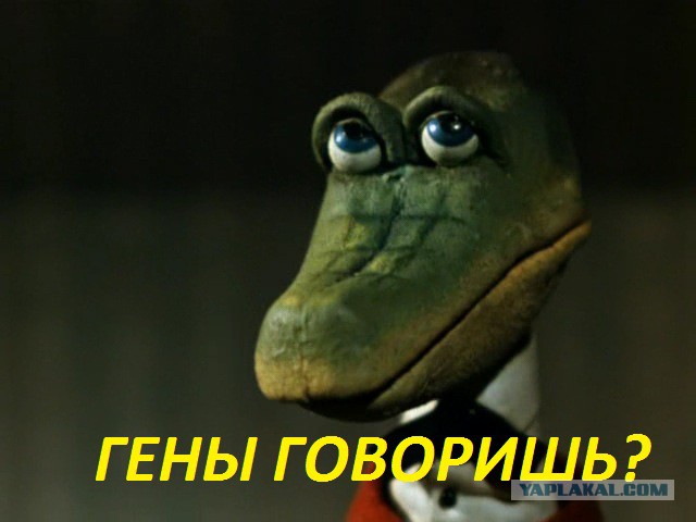 Мама и дочка...