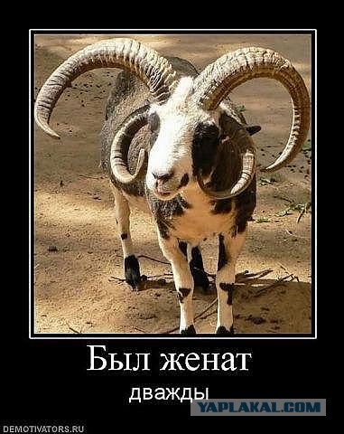 Поднимаем настроение