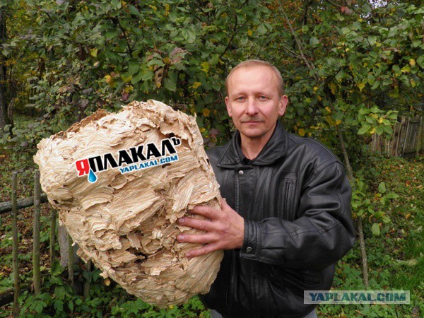 Кулинарный конкурс "Шеф-повар 2014"