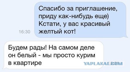 Веселые картинки