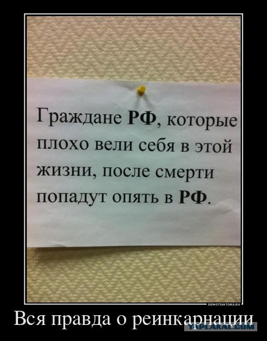 Хочу в Россию.