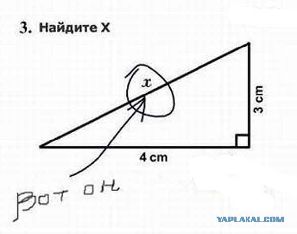 Гениальные ответы на контрольных работах...