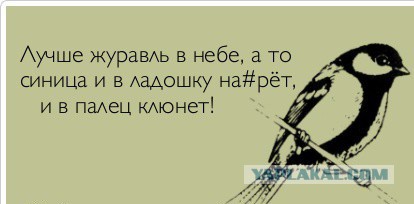 Демотиваторы вторника