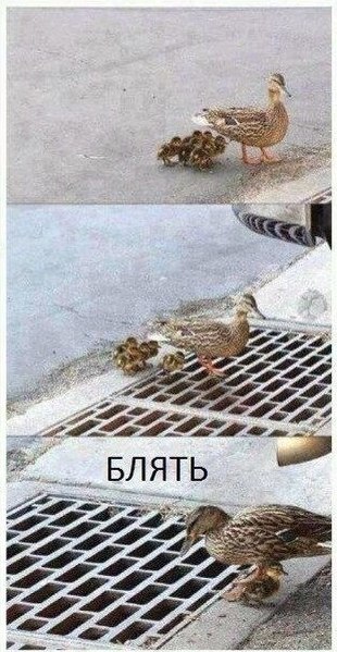 Картинки  разные