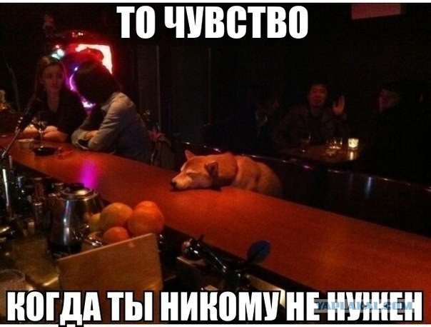 Прикольные картинки на понедельник