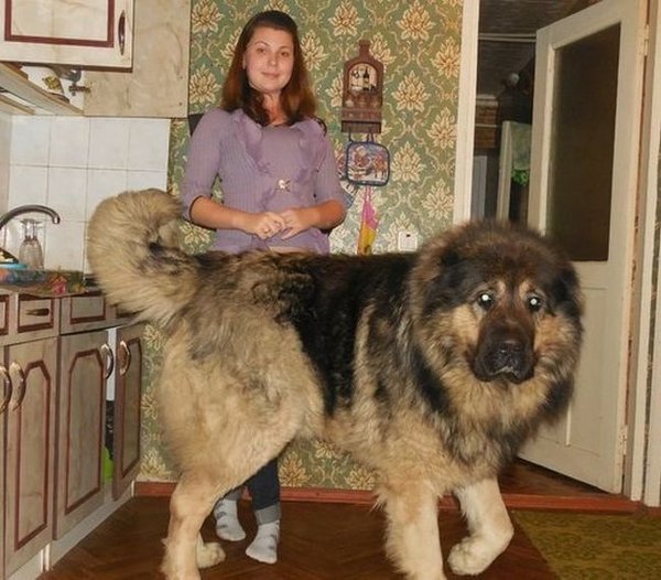 Картинки разные