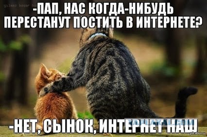 Смешные комментарии из социальных сетей