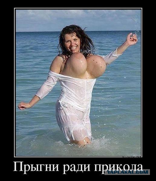 Смешные комментарии 14.06.2015